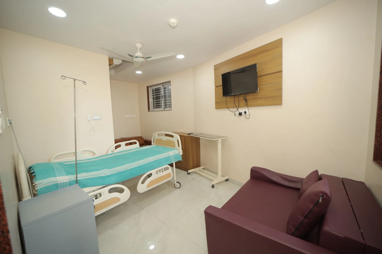Suite Room at Deccan Malti Hospital with a patient bed, sofa and television